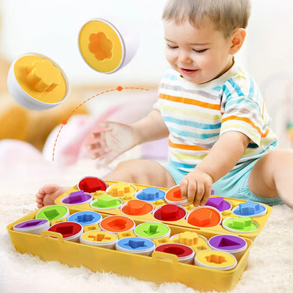 Egg Shape Matching Kit